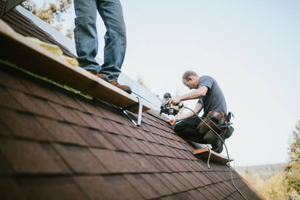 Gutter Installation and Roofing in Hallsville, MO